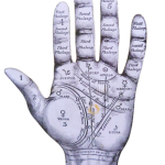 Vaastu Astro and Spiritual Academy-palmistry